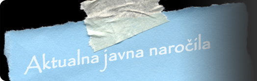 javna naročila